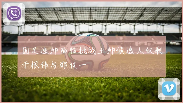 国足选帅面临挑战土帅候选人仅剩于根伟与邵佳一