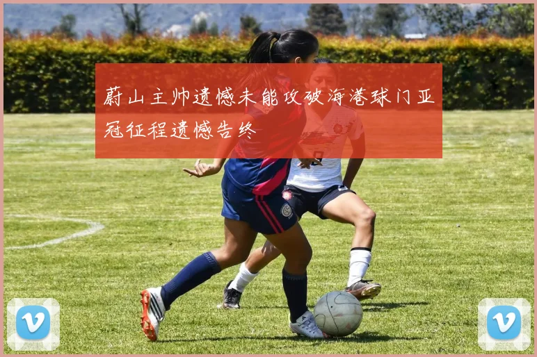 蔚山主帅遗憾未能攻破海港球门亚冠征程遗憾告终